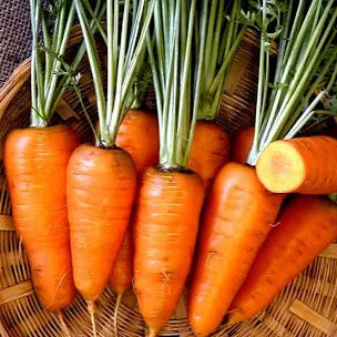 Carrots - Chantenay Red Core image 0