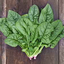 Spinach - Bloomsdale image 0